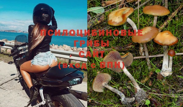 спиды Алексеевка