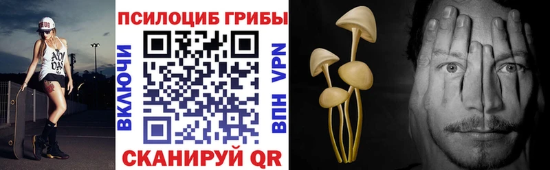 МЕГА вход  Одинцово  Псилоцибиновые грибы прущие грибы 